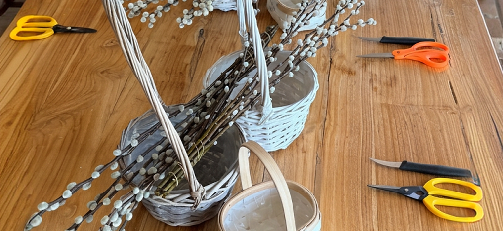 Ramas de sauce en cestas de mimbre sobre una mesa de madera con tijeras de jardinería