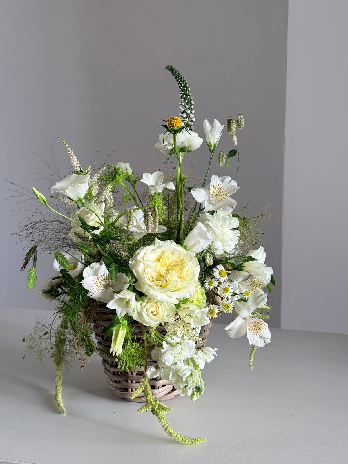 Cesta de mimbre con rosas blancas y alstroemeria, vista lateral sobre fondo gris