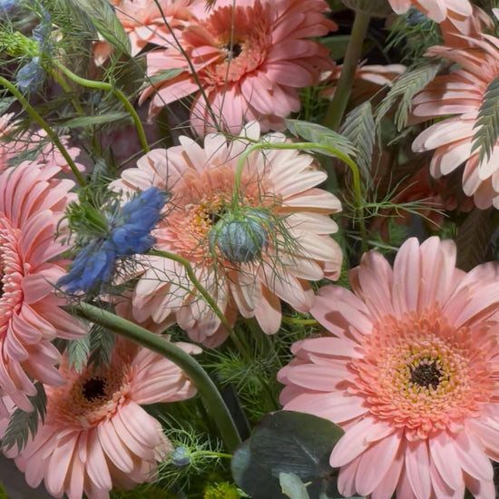 Primer plano de gerberas rosa melocotón con nigella azul, espigas y hojas de eucalipto