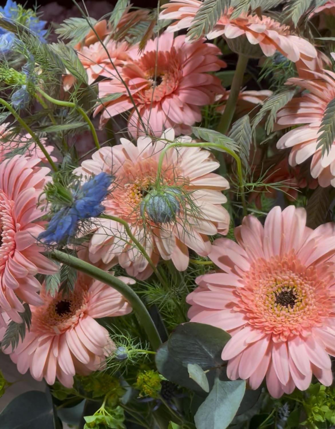 Primer plano de gerberas rosa melocotón con nigella azul, espigas y hojas de eucalipto