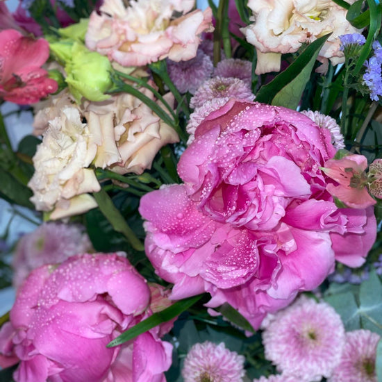 Primer plano de peonías fucsia con gotas de agua, lisianthus crema y crisantemos rosas