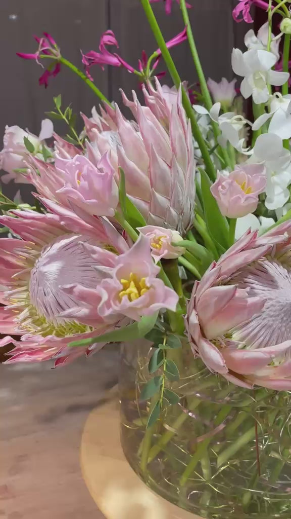 Pink Reverie — vídeo de la composición con protea rosa y orquídeas blancas
