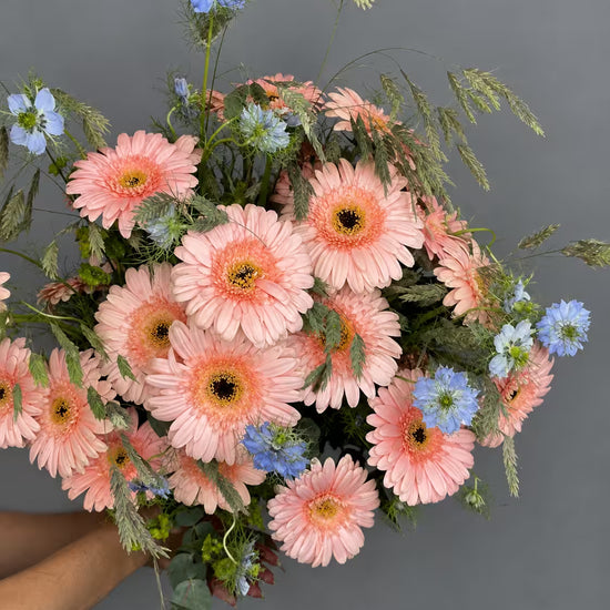 Ramo de gerberas color melocotón con nigella azul, espigas y eucalipto, sostenido en la mano