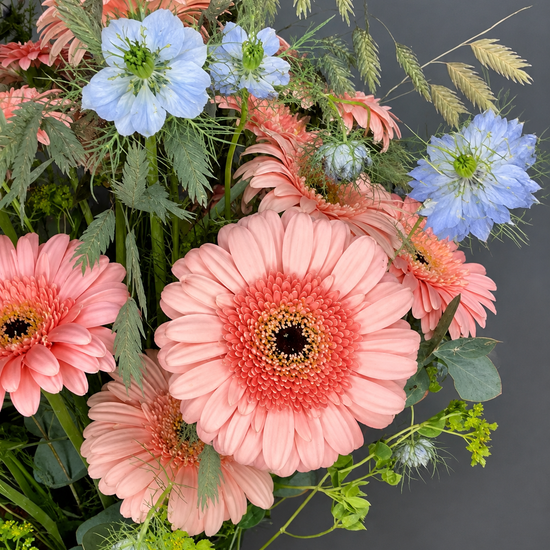 Detalle de ramo con gerberas color melocotón, nigella azul, espigas de avena y bupleurum