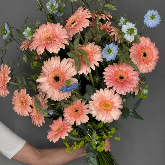 Ramo grande de gerberas color melocotón con nigella azul y blanca, bupleurum y eucalipto, sostenido en la mano