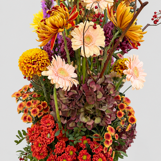 Ramo otoñal con gerberas crema, crisantemos naranjas y amarillos, hortensias, liatris y bayas rojas en cubo de zinc