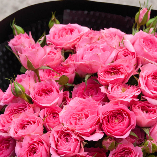 Ramo de rosas ramificadas rosas envuelto en papel negro