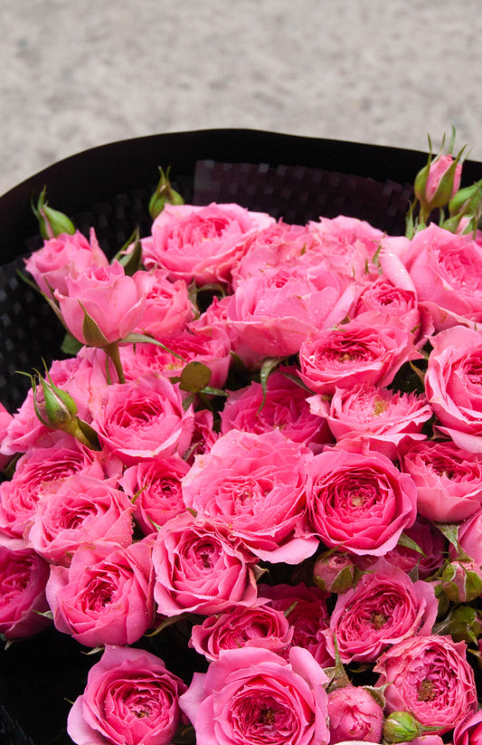 Ramo de rosas ramificadas rosas envuelto en papel negro