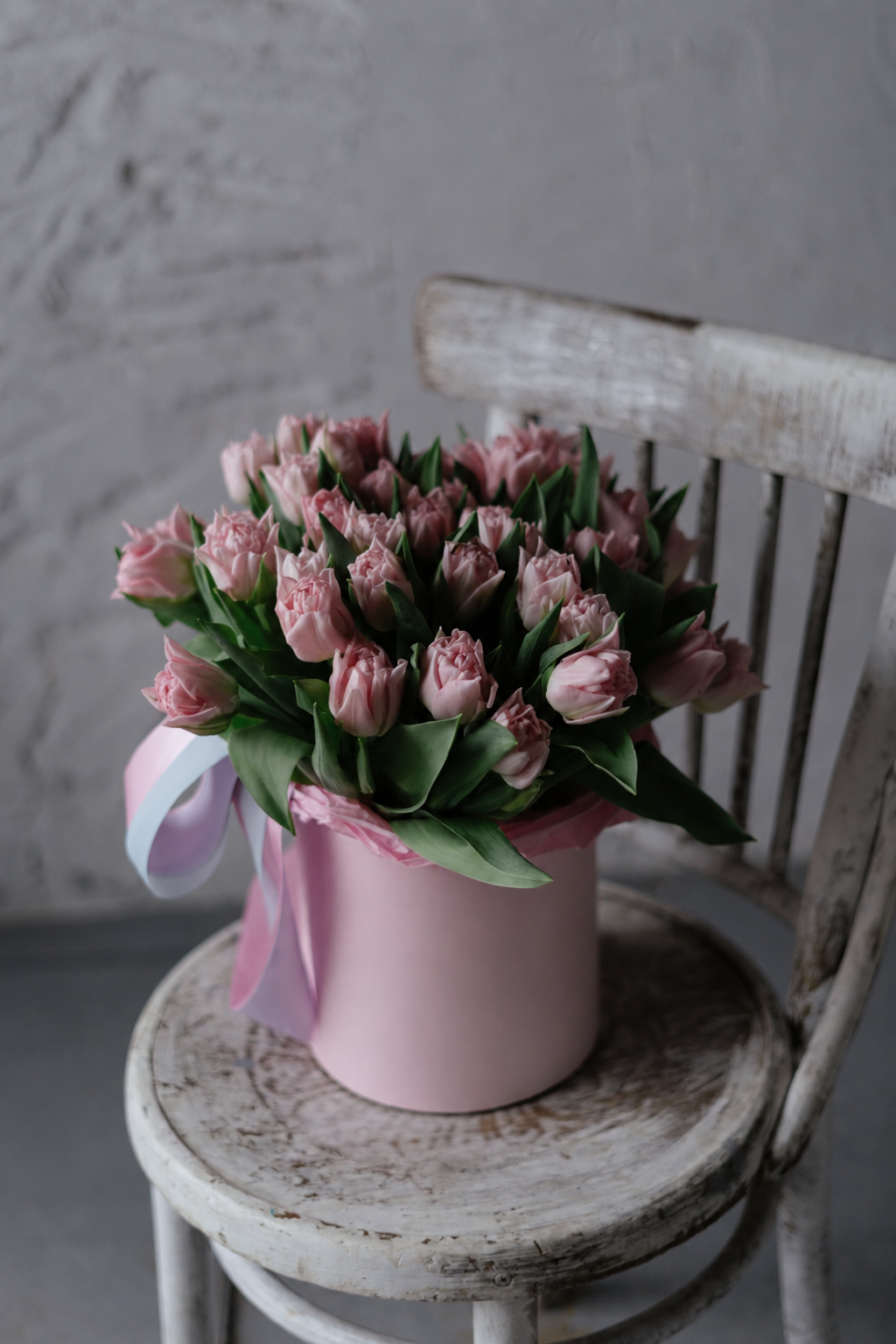 Tulipanes dobles rosa pálido en caja sombrerera rosa con lazo, sobre una silla de madera vintage